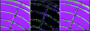DirectX 11 - Texturkompression Orginal (links) vs. BC7-Format (rechts). Der absolute Fehler ist in der Mitte visualisiert.