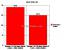AMD Phenom X3 720 BE: AM3-CPU mit DDR3-1600 und DDR2-1066 getestet (5)