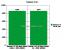 AMD Phenom X3 720 BE: AM3-CPU mit DDR3-1600 und DDR2-1066 getestet (8)
