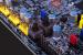 DFI zeigt AM3 Mainboard Lanparty DK 790FXB-M3H5 (5)