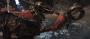 The Last Remnant (11)