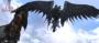 The Last Remnant (14)
