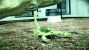 AMD Cinema-2.0-Techdemo: Scorpion (Voxel-Rendering)