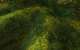 WoW - WotLK