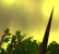 WoW WotLK - Ultra High (13)