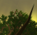 WoW WotLK - Ultra High (17)