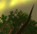 WoW WotLK - Ultra High (20)