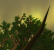 WoW WotLK - Ultra High (19)