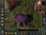 1998: Baldurs Gate
