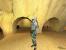 2003: Star Wars: Galaxies - An Empire Divided (Windows), Sony Online Entertainment