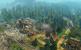 Anno 1404