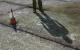 ArmA 2 (31)