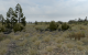 ArmA 2 (23)
