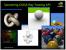 Nvidia CUDA Raytracing-Beispiele (10)