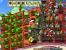 Plants vs. Zombies [Presse: 87; User: 9.2]