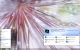 Windows 7 RC (6)