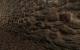 America's Army 3: Erste Screenshots aus dem Spiel (8)