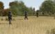 ArmA 2