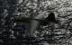 ArmA 2