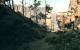 Call of Juarez - Bound in Blood: Ein bewaldeter Canyon