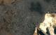 Call of Juarez - Bound in Blood: Gelungene Texturen samt Virtual Displacement Mapping