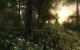 Cryengine 2-Modding: Mögliche Grafik für Crysis 2? (43)