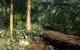 Cryengine 2-Modding: Mögliche Grafik für Crysis 2? (44)