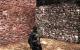 Damnation (2)