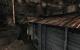 Damnation (16)