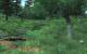 Oblivion: Spiele-Klassiker per Mods getuned (16)