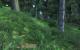 The Elder Scrolls III: Oblivion [mit Mods]