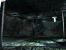 The Void (2)