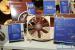 120-Millimeter-Lüfter Noctua NF-S12B FLX auf der Computex