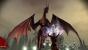 Dragon Age Origins - Die besten Screenshots (34)