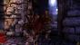Dragon Age Origins - Die besten Screenshots (43)