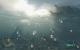 Crysis in 6.400 x 4.000 @ 1.280 x 800 (6)