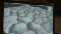 DirectX11 Tesselation POM 02