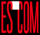 Die Escom-Filialen wurden von Comtech übernommen - bis Comtech 2003 ebenfalls in Konkurs ging.