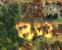 Anno im Wandel der Zeit (Feuer in Anno 1404)