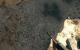 Top: Stellenweise großartige Texturen bei Call of Juarez: Bound in Blood