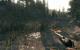 Top: Landschaft mit liebevollen Details wie Tieren bei Call of Juarez: Bound in Blood