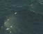Anno im Wandel der Zeit (Wasser in Anno 1404)