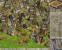 Anno im Wandel der Zeit (Niedrigste Zoomstufe in Anno 1503)