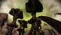 Screenshots von Dragon Age Origins (23)