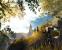 Drakensang: Am Fluss der Zeit: brandneue Screenshots (6)