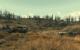 Titel mit Gamebryo-Engine im Vergleich: Fallout 3