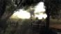 Risen (29)