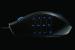 Razer Naga MMO-Maus im Hands-on-Test (5)