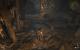 Gothic 4 Arcania (12)