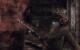 Red Orchestra 2: Heroes of Stalingrad (5)
